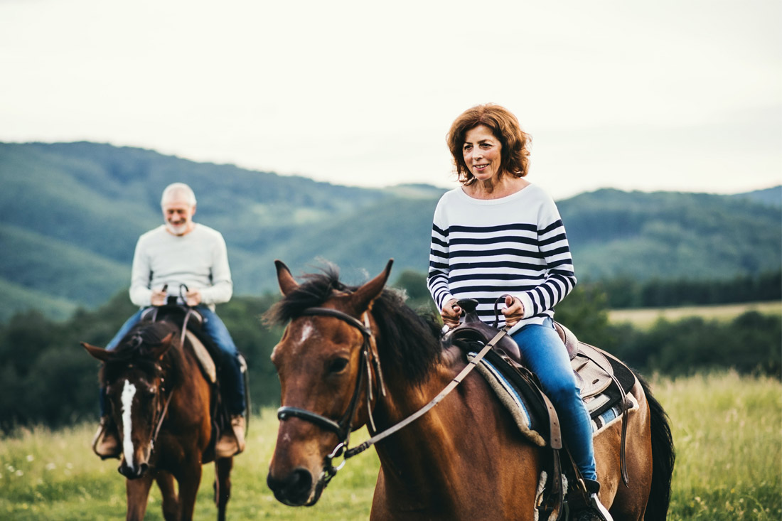 Hold your horses: RBA hikes cash rate again to 2.85% Main Image