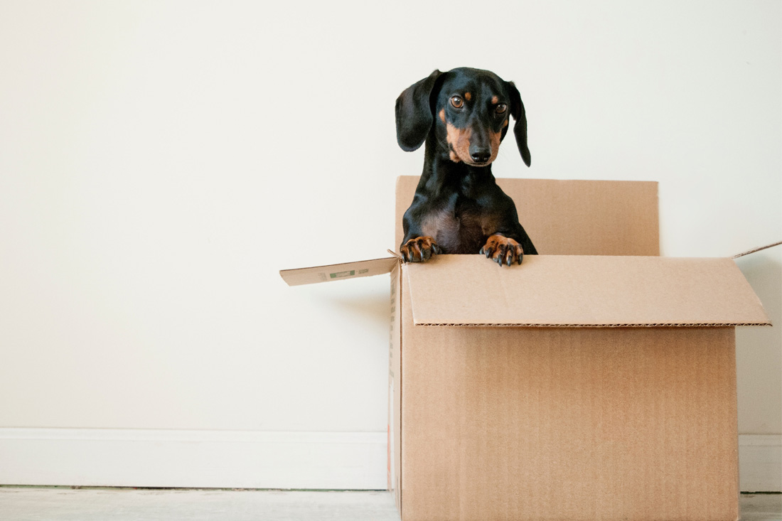 How to escape renting and get into the property market Main Image